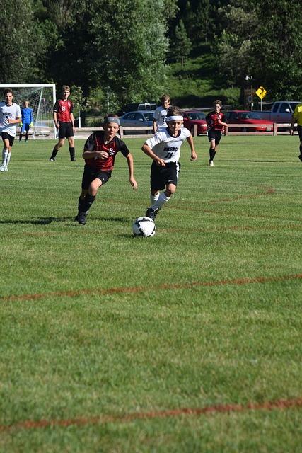 和表现回应 和表现回应