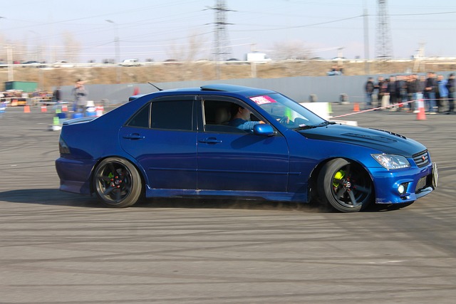 能在对抗中 能在对抗中