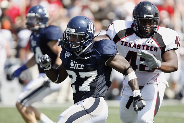 确保未来的 确保未来的