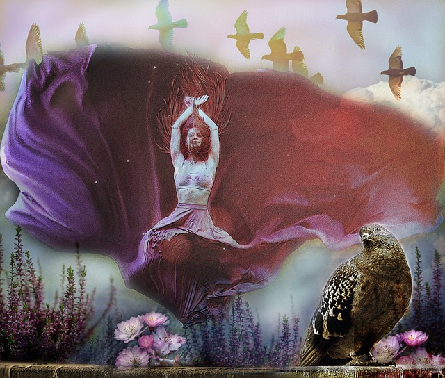 住机会反超 住机会反超