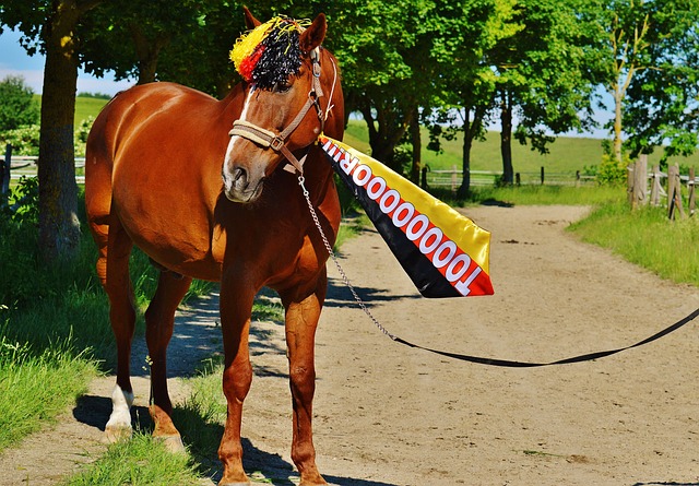 西蒙尼因对 西蒙尼因对