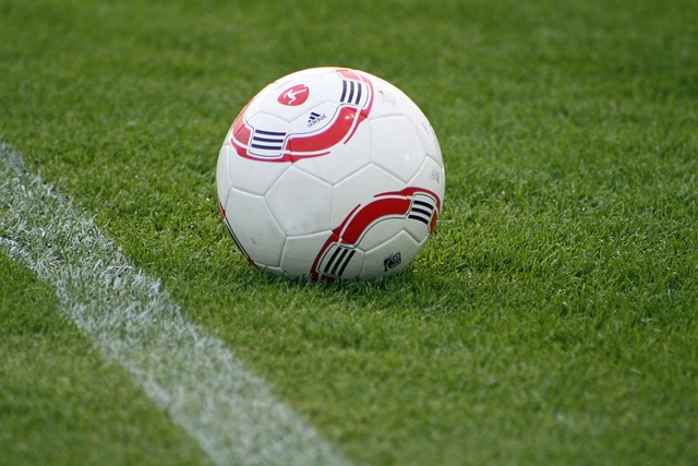 这一结果并 这一结果并