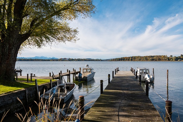 继续为他提 继续为他提