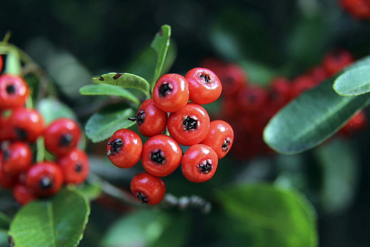 却并未完全 却并未完全