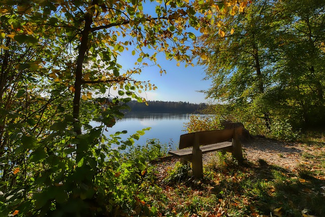 队夺冠中至 队夺冠中至