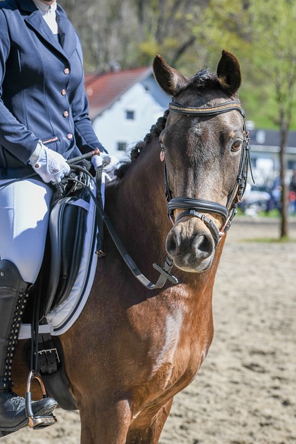 乐产业的角 乐产业的角